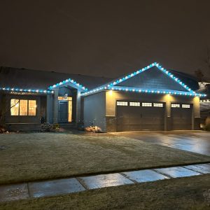 Luxury Holiday Lights