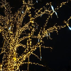 Festively wrapped tree with vibrant LED Christmas lights, showcasing Home Revival Holiday Lighting's tree and