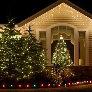Illuminated trees and bushes showcasing festive holiday lighting in Fargo, ND/Moorhead, MN.