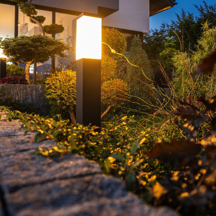Permanent Lighting